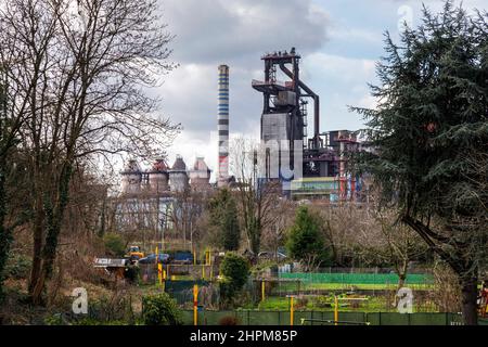 Schottergärten im Wohngebiet Duisburg-Bruckhausen, dahinter Industrie mit Hochofen der thyssenkrupp Steel Europe AG. Stockfoto