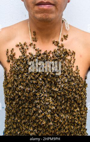 Der Körper des Menschen ist von Bienen bedeckt Stockfoto