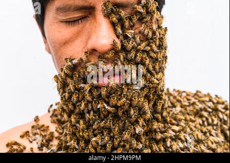 Das Gesicht des Menschen ist von Bienen bedeckt Stockfoto