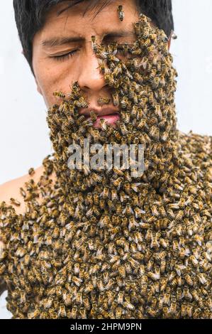 Das Gesicht des Menschen ist von Bienen bedeckt Stockfoto