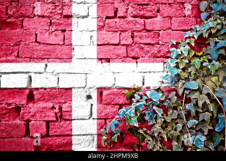 Dänemark Grunge-Flagge auf Ziegelmauer mit Efeu-Pflanze, Land Symbol Konzept Stockfoto