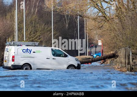 Castleford, Großbritannien. 22nd. Februar 2022. Ein Van in Castleford wird neben einem umgestürzten Baum aufgegeben, nachdem er gestrandet war, als der Sturm Franklin am Wochenende in Castleford, Großbritannien, den Fluss Aire zum Platzen seiner Ufer veranlasste. Dies war der 2/22/2022. (Foto von James Heaton/News Images/Sipa USA) Quelle: SIPA USA/Alamy Live News Stockfoto