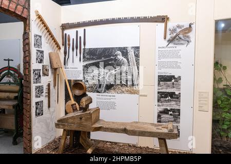 Curtis Museum, das Heimatkundemuseum im Stadtzentrum von Alton, Hampshire, England, Großbritannien. Ausstellung über Haselnussbearbeitung, Besen und Schalendrehen Stockfoto