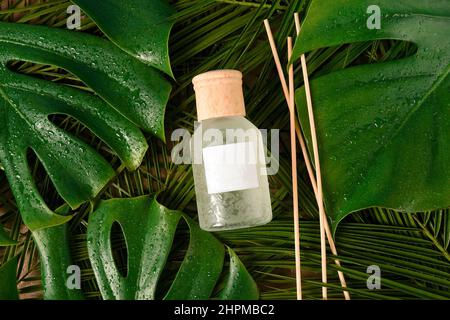 Aroma Reed Diffusor Home Duft mit Rattan-Sticks auf grün Hintergrund mit tropischen Palmenblättern und Wassertropfen Stockfoto