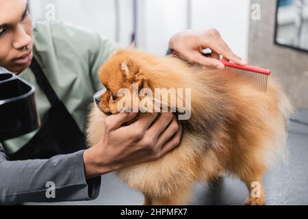 Verschwommenes afroamerikanisches pistenputzen spitz mit Kamm Stockfoto