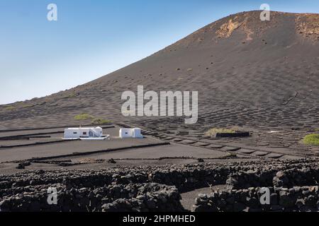 La Geria Weinanbaugebiet, Yaiza, Lanzarote, Kanarische Inseln. Stockfoto