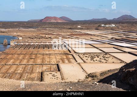 Salinen in Salinas de Janubio, Lanzarote, Kanarische Inseln. Stockfoto