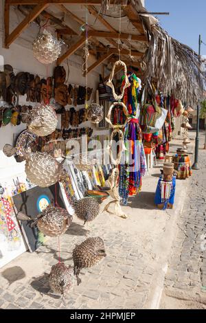 Kugelfisch und Haifischkiefer am Souvenirstand, Palmeira, Sal (IIha do Sal), República de Cabo (Kap Verde) Stockfoto