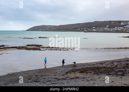 Zwei Personen nehmen ihre Hunde mit auf einen Spaziergang am Strand bei Ebbe in Penzance, Cornwall, großbritannien Stockfoto