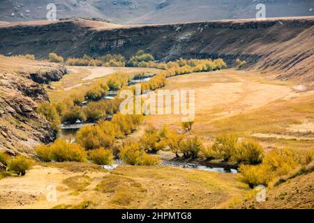 Reise nach Lesotho. Ein von Bäumen gesäumter Fluss fließt durch eine Wiese Stockfoto