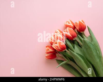 Ästhetischer Hintergrund mit roten Tulpen auf rosa Hintergrund. Vertikales Bild von perfekten Tulpen mit Platz für Text. Frühlingsblumen. Verkaufen Sie Tulpen. Frühlingsstimmung. Ansicht von oben oder flach liegend Stockfoto
