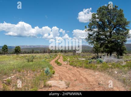 Unbefestigte Straße in einem riesigen offenen Feld, die an einem gemischten sonnigen und bewölkten Tag zu fernen Bergen führt. Stockfoto