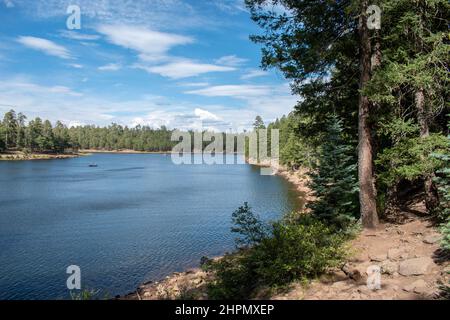 See mit einer felsigen Küste in einem Wald an einem gemischten sonnigen und bewölkten Tag. Stockfoto