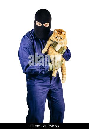 Isoliertes Foto von Räubern in Maske, Overalls, Handschuhe, die Katze auf weißem Hintergrund stehlen. Stockfoto