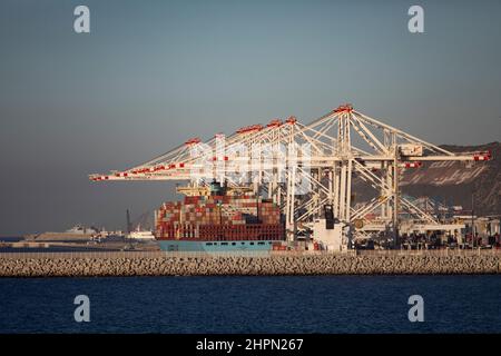 Im Tanger Med Port in Ksar es Seghir, Marokko, Nordafrika, stehen Containerkrane bereit, um Hafenfracht abzuwickeln. Stockfoto