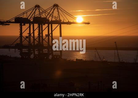 Im Tanger Med Port in Ksar es Seghir, Marokko, Nordafrika, stehen Containerkrane bereit, um Hafenfracht abzuwickeln. Stockfoto