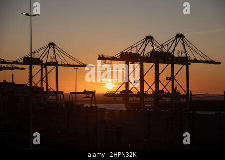 Im Tanger Med Port in Ksar es Seghir, Marokko, Nordafrika, stehen Containerkrane bereit, um Hafenfracht abzuwickeln. Stockfoto