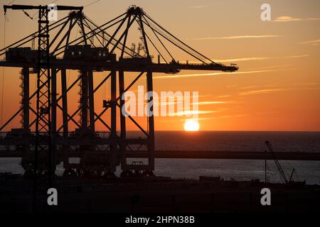 Im Tanger Med Port in Ksar es Seghir, Marokko, Nordafrika, stehen Containerkrane bereit, um Hafenfracht abzuwickeln. Stockfoto