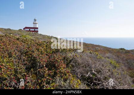 Leuchtturm Capel Rosso, Punta di Capel Rosso, Insel Giglio, Tyrrhenisches Meer, Toskanischer Archipel, Toskana, Italien, Europa Stockfoto