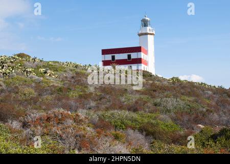 Leuchtturm Capel Rosso, Punta di Capel Rosso, Insel Giglio, Tyrrhenisches Meer, Toskanischer Archipel, Toskana, Italien, Europa Stockfoto