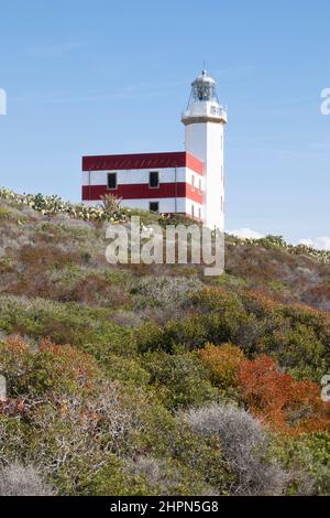 Leuchtturm Capel Rosso, Punta di Capel Rosso, Insel Giglio, Tyrrhenisches Meer, Toskanischer Archipel, Toskana, Italien, Europa Stockfoto