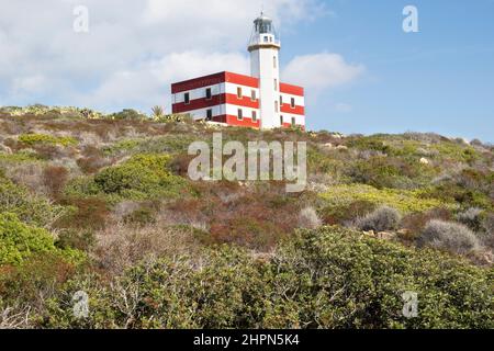 Leuchtturm Capel Rosso, Punta di Capel Rosso, Insel Giglio, Tyrrhenisches Meer, Toskanischer Archipel, Toskana, Italien, Europa Stockfoto