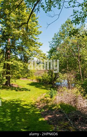 Umgebung um Panther Lake in Kent, Washington. Stockfoto