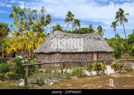 Traditionelle Kanak Haus auf Ouvea Insel, Loyalty Islands, New Caledonia. Kanak sind die indigenen Melanesischen Bewohner von Neukaledonien. Stockfoto