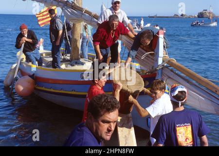 FRANCE ROUSSILLON VENDANGES BANYULS Stockfoto