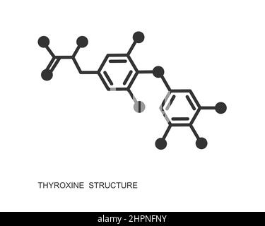 Chemische molekulare Struktur von Thyroxin. Großes endogenes Hormon, das von der Schilddrüse auf weißem Hintergrund isoliert wird. Vektorgrafik. Stock Vektor