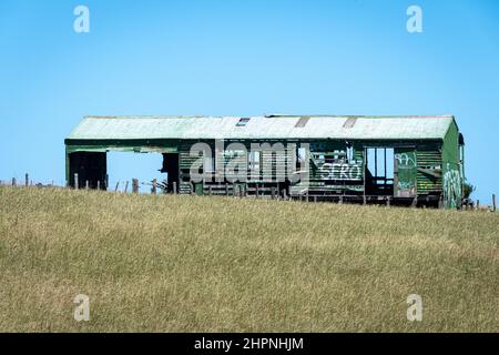 Verkommen Scheune in Ratana, in der Nähe von Wanganui, North Island, Neuseeland Stockfoto