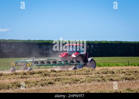 Canterbury, Neuseeland, 26. Dezember 2021: Ein Sattelschlepper zieht einen Heurechen um ein Ackerfeld, der das gemähte Gras in Reihen für die Heupresse abrollt Stockfoto