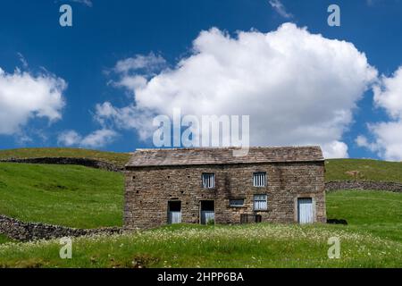 Traditioneller Stall in Swaledale, der zum Überwintern von Rindern und zur Lagerung von Heu verwendet worden wäre, aber jetzt überflüssig und möglicherweise für die Unterbringung umgebaut wurde. Stockfoto