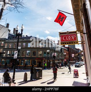 Cambridge, Massachusetts, USA - 16. Februar 2022: Das Schild und das H-Banner des Gebäudes der Harvard Cooperative Society auf der Massachusetts Avenue. Stockfoto