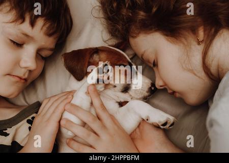 Nettes Kind und sein Welpe Jack russell schläft in der Nacht. Stockfoto