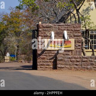 Zwei gefälschte Elefantenzähne am Safaritor vor dem Olifants Rest Camp im Kruger National Park in Südafrika Stockfoto