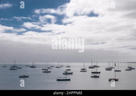 Die Yachten liegen in Corio Bay in Geelong, Victoria, Australien Stockfoto
