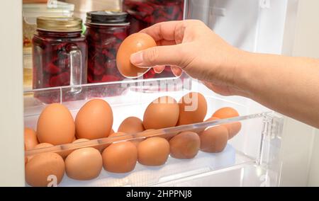 Hände zum Organisieren von braunen Eiern auf dem Kühlregal. Stockfoto