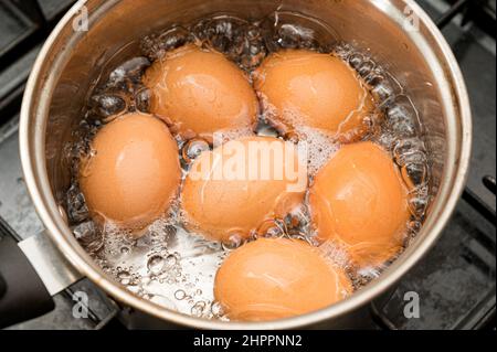 Eier werden in kochendem Wasser in einem Topf gekocht Stockfoto