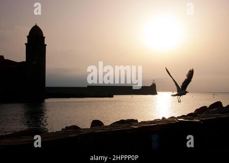 FRANKREICH Pyrenees Orientales Roussillon Côte vermeille collioure lever Soleil Stockfoto