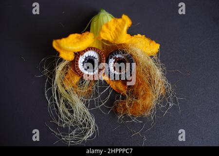 Lustige Gesicht aus Lebensmitteln, Landwirtschaft Produkt aus Dachgarten, kleinen Mais, Kürbisblume, Maisseide und Augen häkeln aus Garn gesetzt machen niedlich Stockfoto