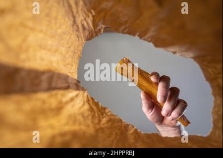 Eine Hand legt ein Haustier-Leckerbissen in einen Papierbeutel.Die Hand Eines reifen Mannes hält getrocknete Rindersehnen für Hunde über einem offenen braunen Beutel. Von unten nach oben geschossen. Schließen Stockfoto