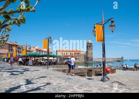[frankreich pyrenees orientales cote vermeille Collioure Stockfoto