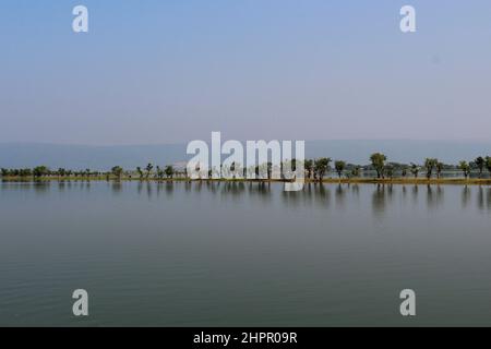 Wunderschöne Bäume, die sich auf dem Wasser spiegeln Stockfoto