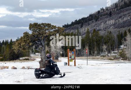 Fahren eines Motorschlittenfahrens auf dem Schnee entlang des Provo Flusses im Gebiet des Mirror Lake in Kamas, Utah, USA. Stockfoto