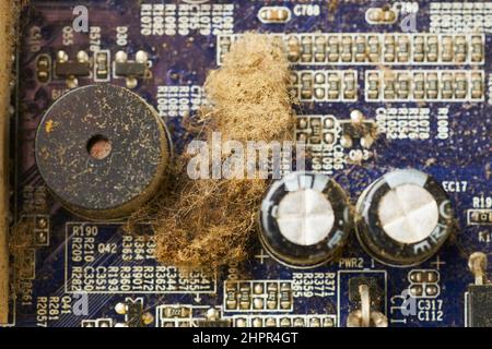 Alte Computeranlage mit Spinnennetz und Staub im Inneren. Stockfoto