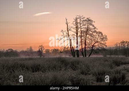 Waverley Lane, Elstead. 23rd. Februar 2022. Ein kalter und frostiger Start in den Tag für die Heimatkreise. Frostige Bedingungen entlang des River Wey bei Thundry Meadows in Elstead, in der Nähe von Godalming, in Surrey. Kredit: james jagger/Alamy Live Nachrichten Stockfoto