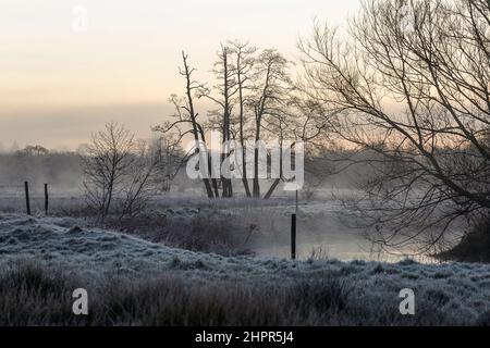 Waverley Lane, Elstead. 23rd. Februar 2022. Ein kalter und frostiger Start in den Tag für die Heimatkreise. Frostige Bedingungen entlang des River Wey bei Thundry Meadows in Elstead, in der Nähe von Godalming, in Surrey. Kredit: james jagger/Alamy Live Nachrichten Stockfoto