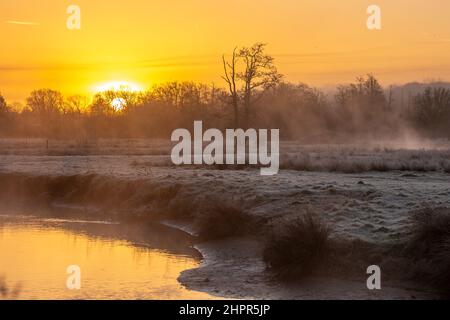 Waverley Lane, Elstead. 23rd. Februar 2022. Ein kalter und frostiger Start in den Tag für die Heimatkreise. Frostige Bedingungen entlang des River Wey bei Thundry Meadows in Elstead, in der Nähe von Godalming, in Surrey. Kredit: james jagger/Alamy Live Nachrichten Stockfoto