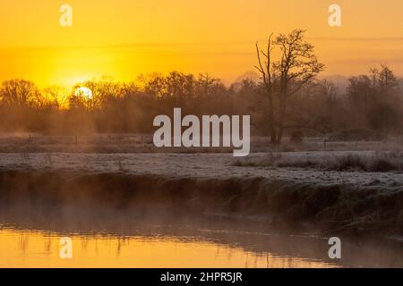 Waverley Lane, Elstead. 23rd. Februar 2022. Ein kalter und frostiger Start in den Tag für die Heimatkreise. Frostige Bedingungen entlang des River Wey bei Thundry Meadows in Elstead, in der Nähe von Godalming, in Surrey. Kredit: james jagger/Alamy Live Nachrichten Stockfoto